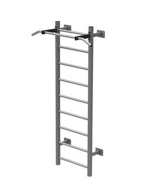 FY-278 Wall Mount Ladder with Chin-up Bar
